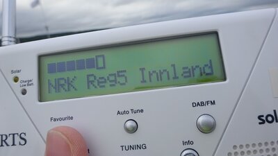 Reg5.jpg