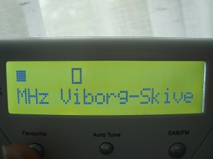 VibSkv.jpg