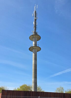 Sternberg2.jpg