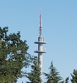 20200816_ Funkturm in Herzberg Elster.jpg