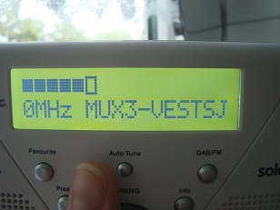 MUX3-VESTSJ.JPG